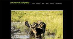 Desktop Screenshot of dandreisbachphotography.com