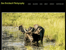 Tablet Screenshot of dandreisbachphotography.com